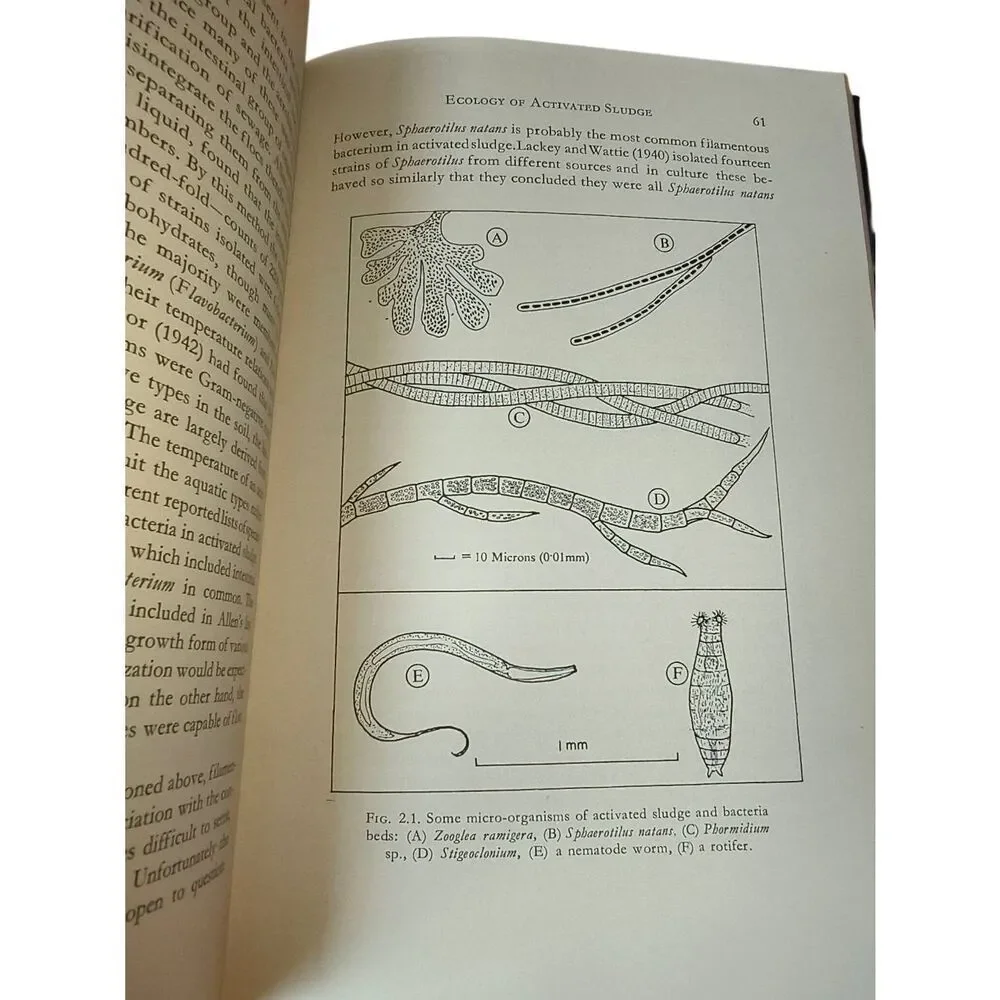 The Ecology Of Waste Water Treatment By H. A. Hawkes 1963 Ex library